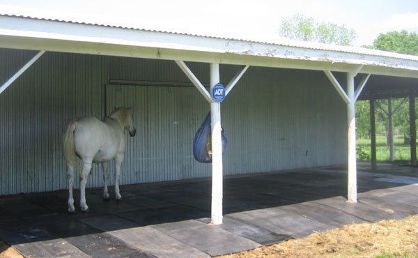 A white horse in a communal stall lined with rubber mats.