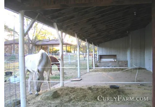 A horse  in a stall