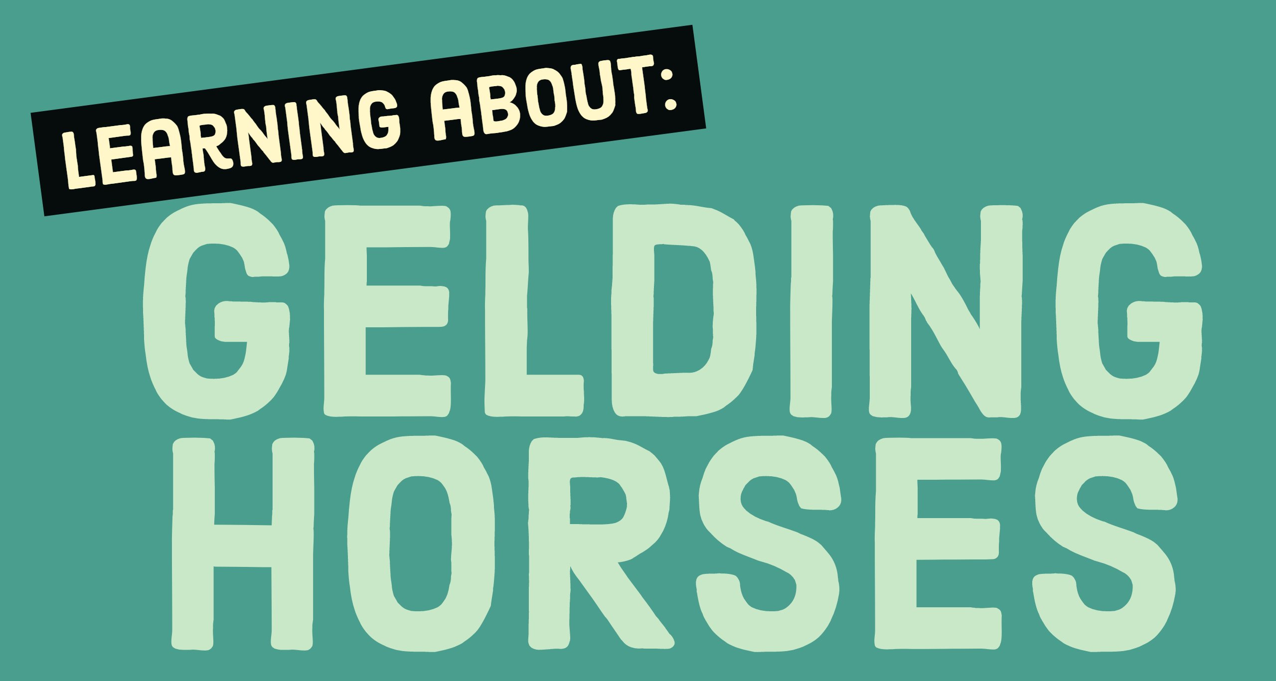 gedling horses