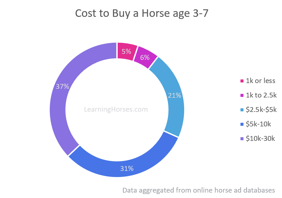 An infographic showing the price of senior horses.
