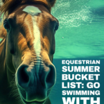 A brown horse swimming underwater in a pool.