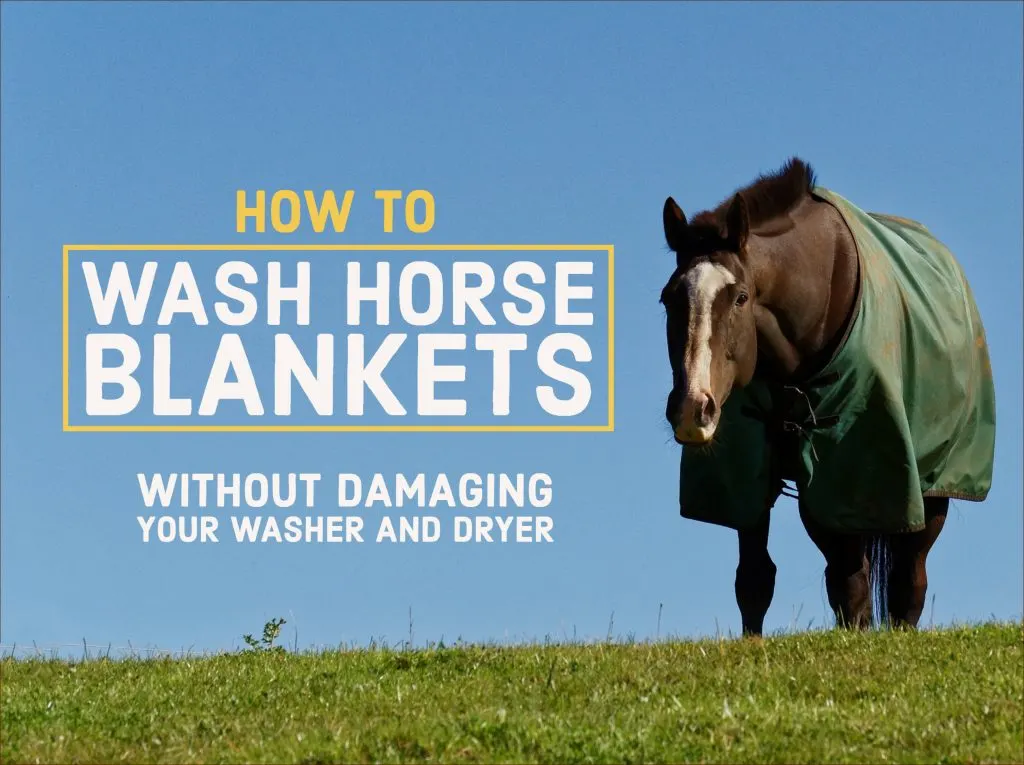 How to wash a horse blanket at home without damaging your washer and dryer