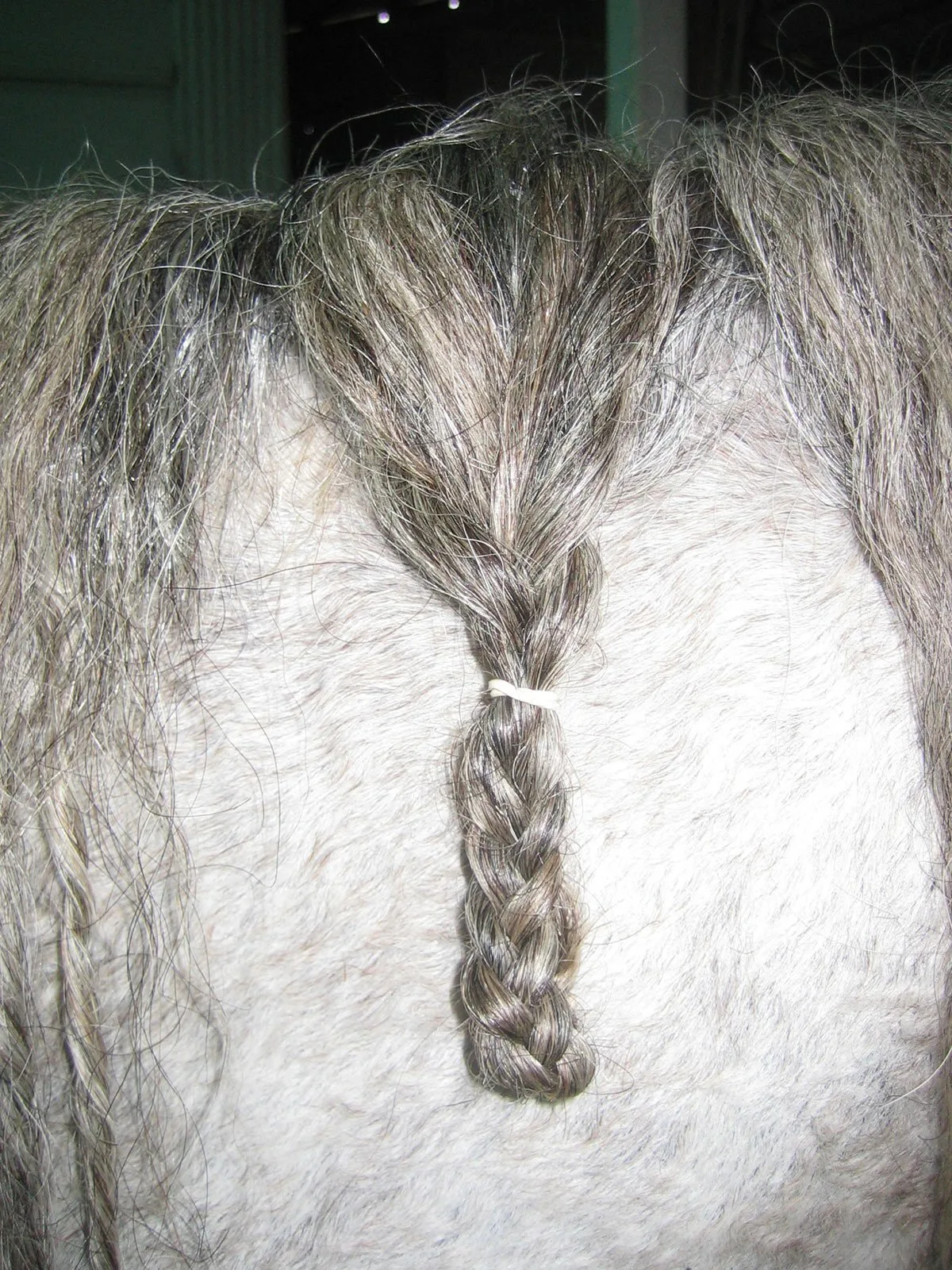 A pasture braid completed.