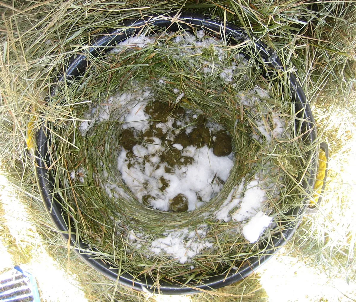 Fresh compost in nesting buckets helps keep the inner bucket from having frozen water.