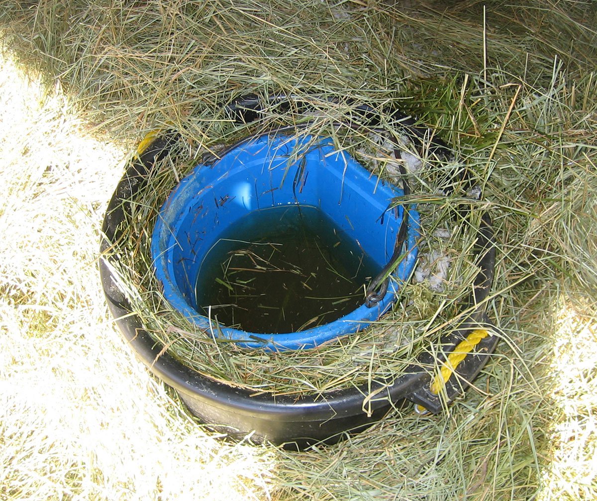 This DIY bucket heater is made by using double buckets and lots of insulation- including fresh compost. 