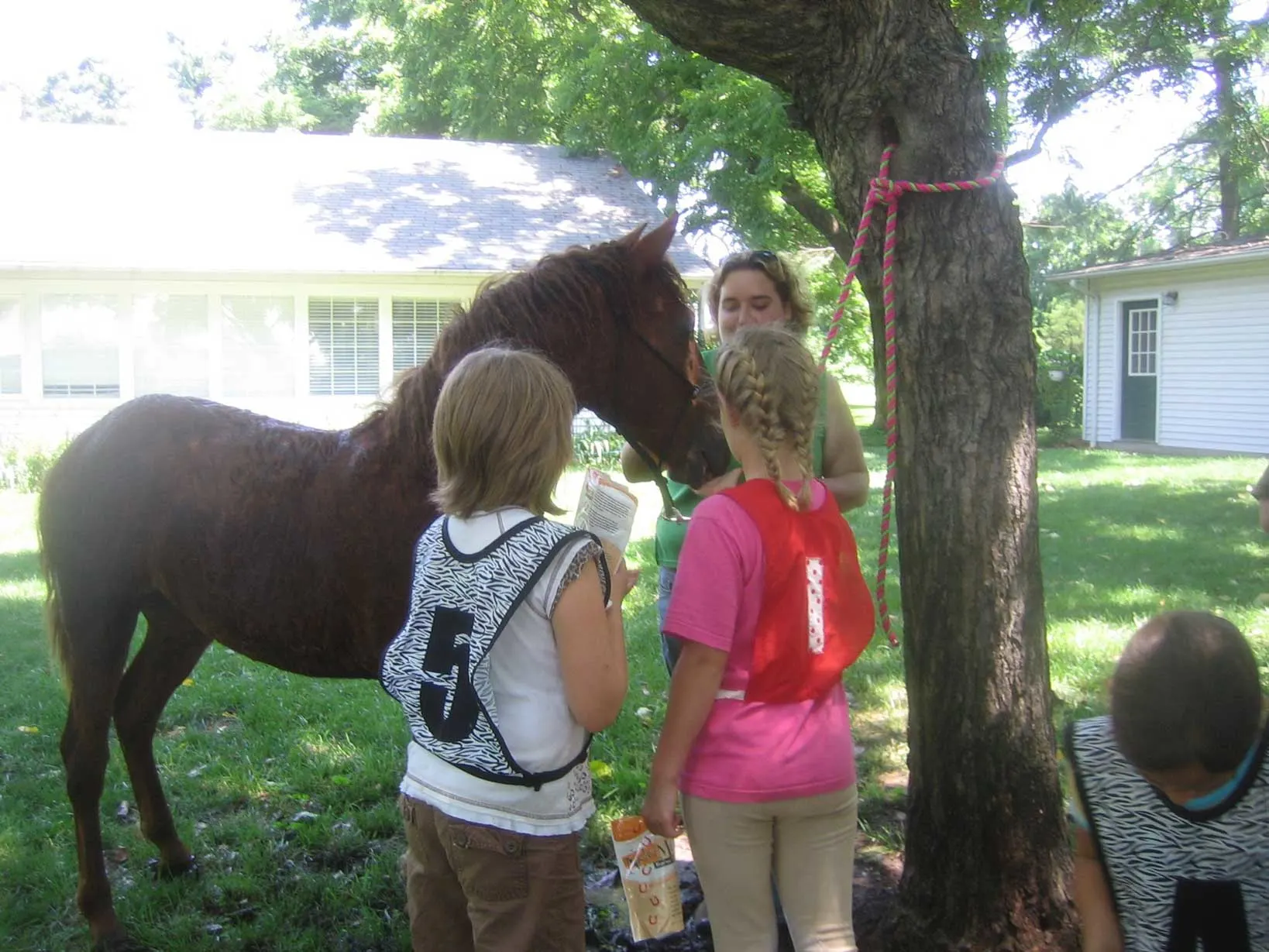 Girls at a pony club horse camp interact with a rare breed of horse. 