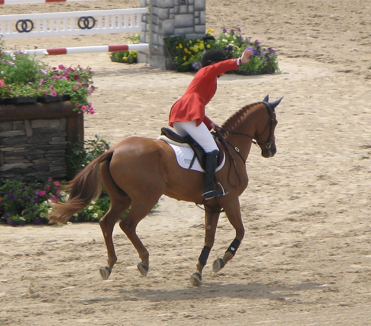 Theodore O'Connor canters at the Rolex Kentucky competition.