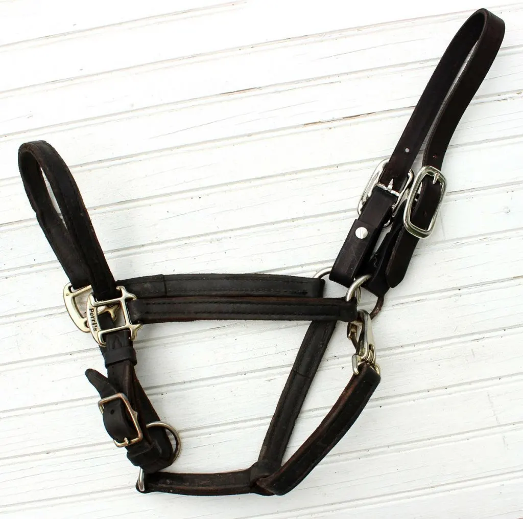 a leather horse halter on beadboard backing