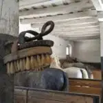 A horse brush on a hook in a barn.