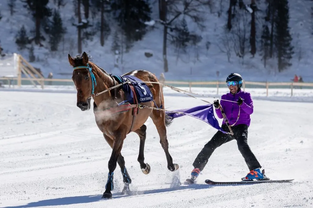 cf Skijoring