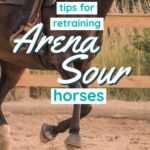 Arena Sour: Working with Horses that Refuse to Enter an Arena