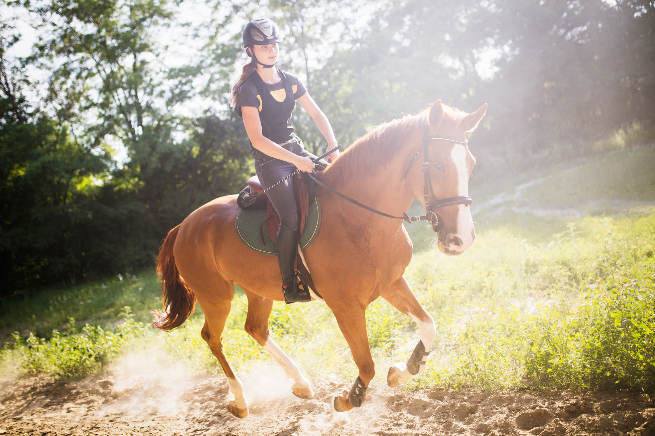 Athletic rider rides horse and burns energy.