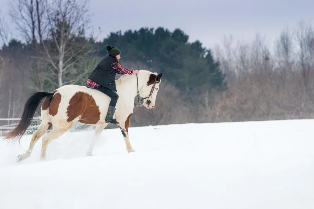 In the coldest months bareback riding can be a warmer way to ride. 