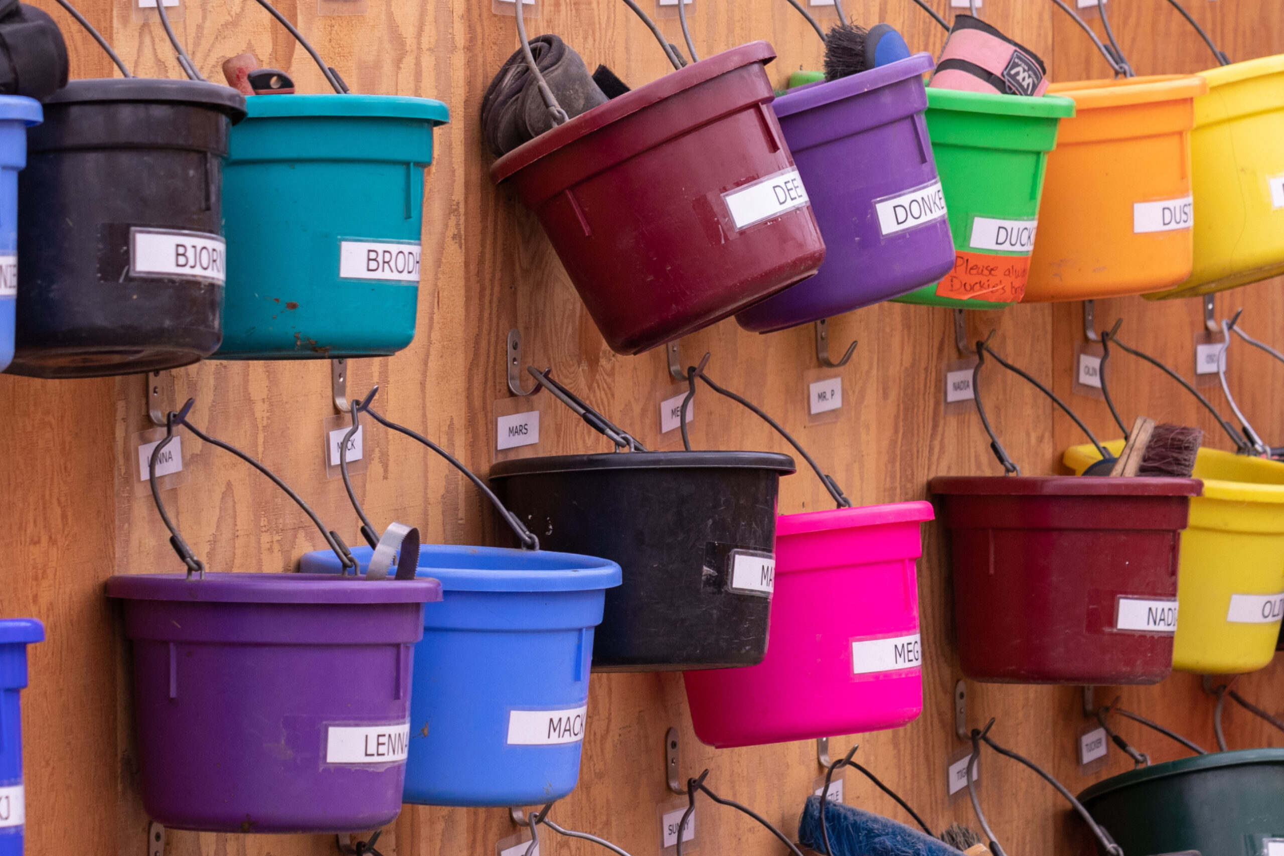 organized feed buckets hung on a wall in a horse barn's feed room.