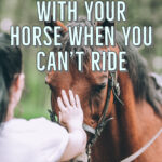 Things to do with your horse when you can't ride