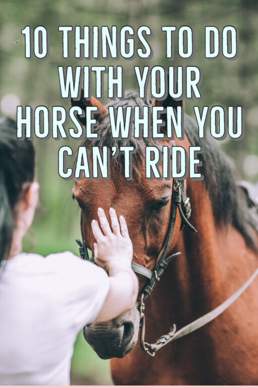 8 Things to do with a Horse When you Can't Ride