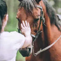 A woman petting a tacked up horse.
