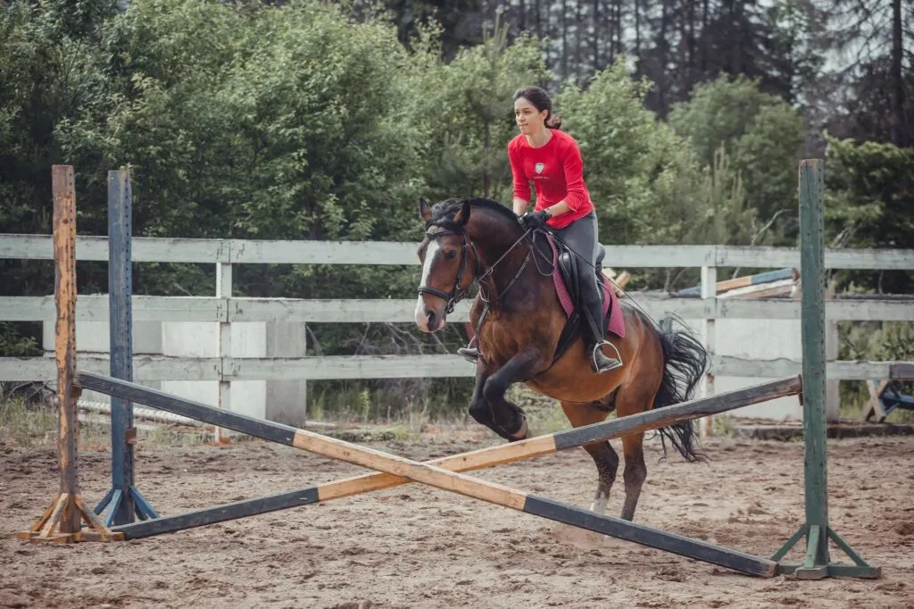 Jumping small jumps usually prompts a horse to transition into a canter, often on the correct lead if cued well.