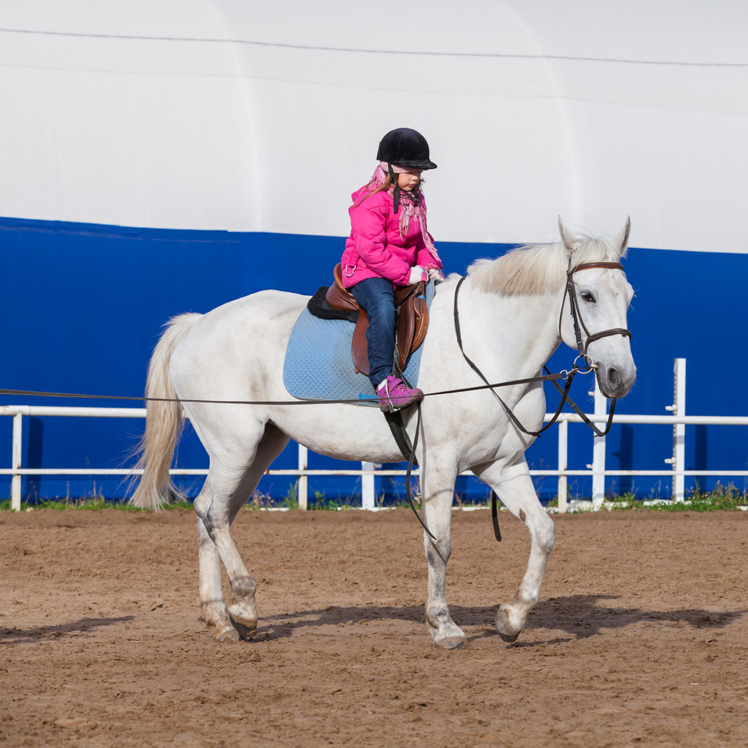 Girl riding a white horse in a fun riding lesson.