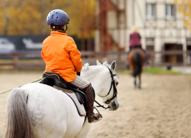 Learn Riding How Long It Takes To Learn To Ride A Horse: Kids & Adults ...