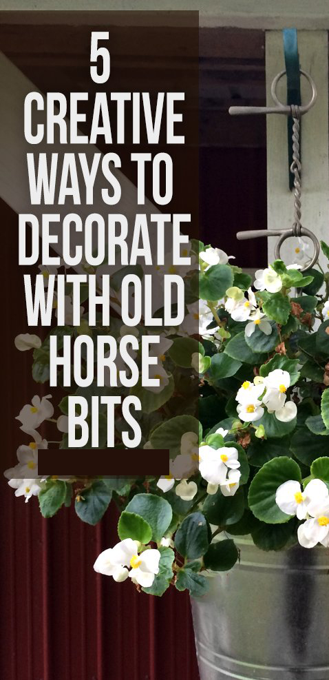 repurposing old horse bits as decoration.