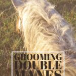 How to care for horses with double manes