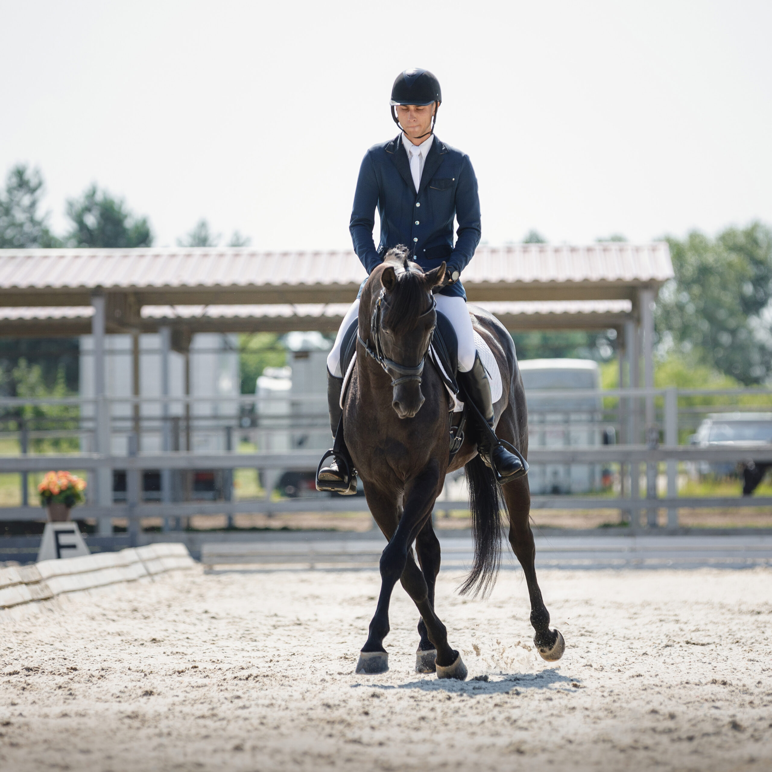 person on horse performing a lateral dressage movement.