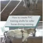 How to use PVC breakaway shafts to train a horse to drive