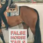 Learn how false horse tails are used in horse shows, how to buy and attach one, and how never to use a fake tail!
