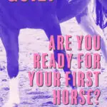 Text reading quiz are you ready for your first horse overlaid over a purple tone image of a cantering horse.