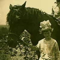 Curly horses are growing in popularity, but aren't a new breed. Explore the history of curly horses