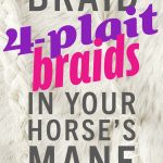 braiding 4 strand braids in your horse mane