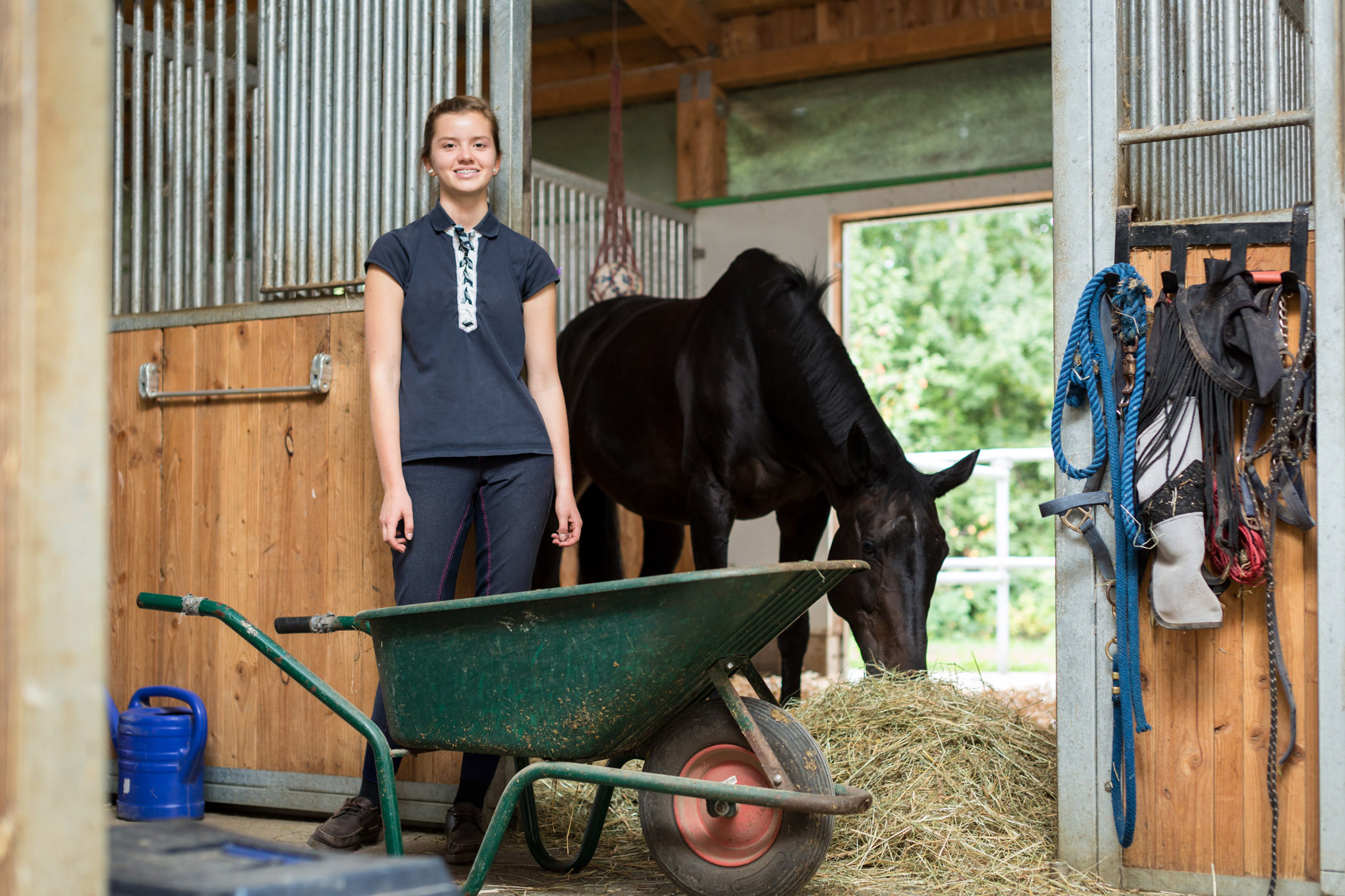 Girl standing next to a wheelbarrow in a stable doing horse chores.