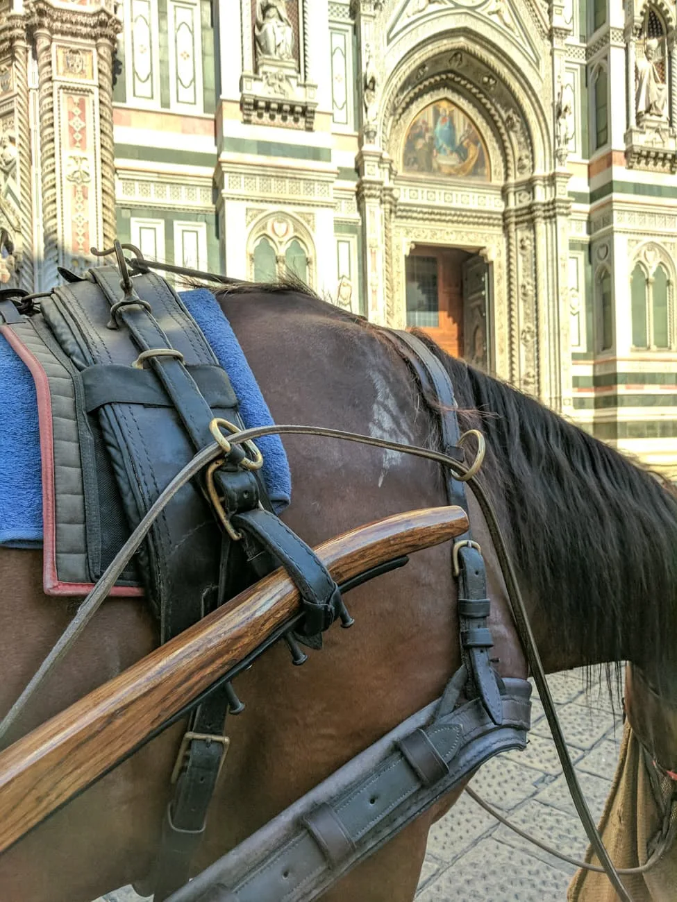 how pulling a cart in harness