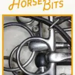 A clean horse bit doesn't just look good – it works better. Learn how to clean, polish, and remove rust from horse bits.