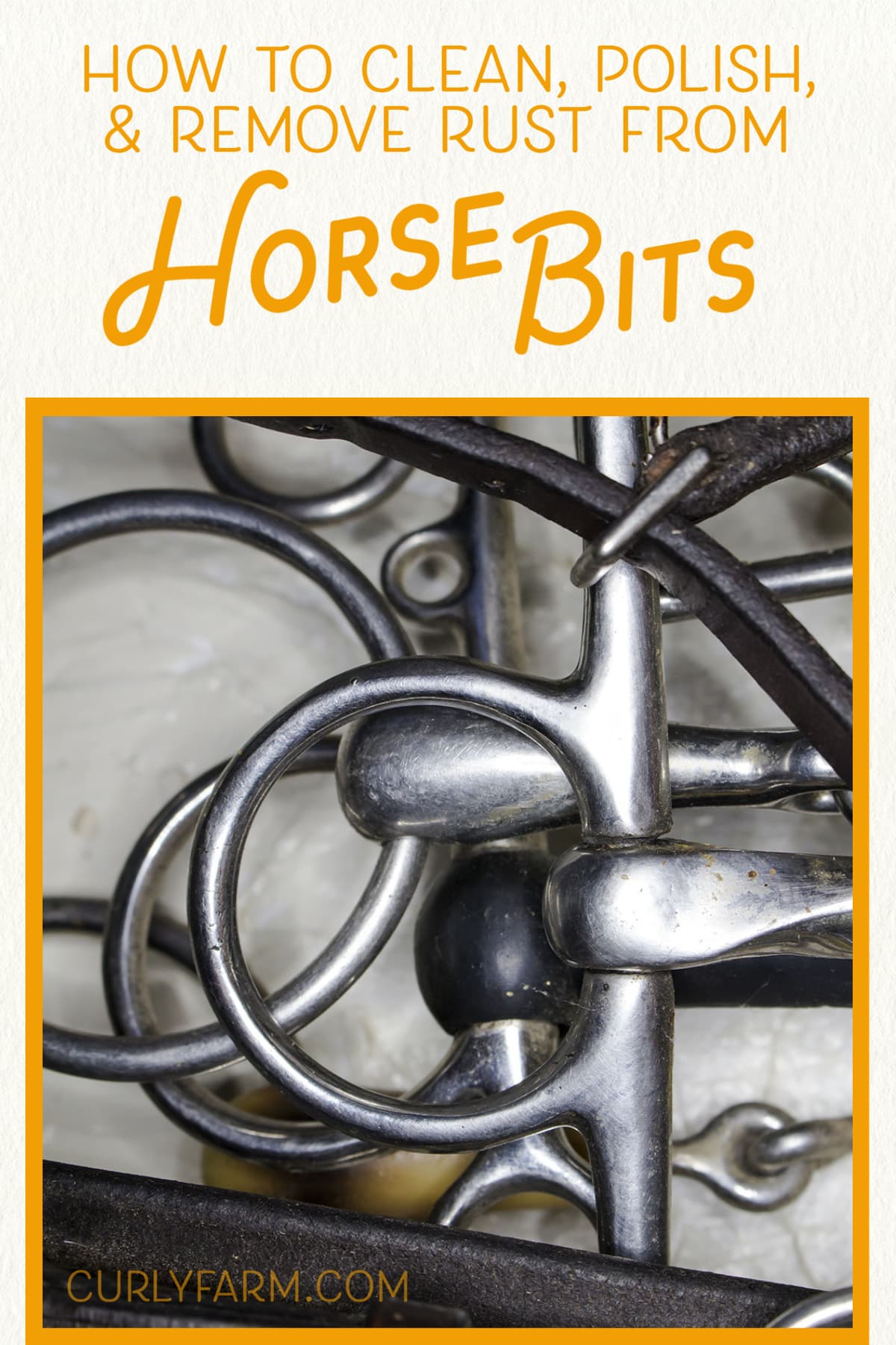 A clean horse bit doesn't just look good – it works better. Learn how to clean, polish, and remove rust from horse bits.