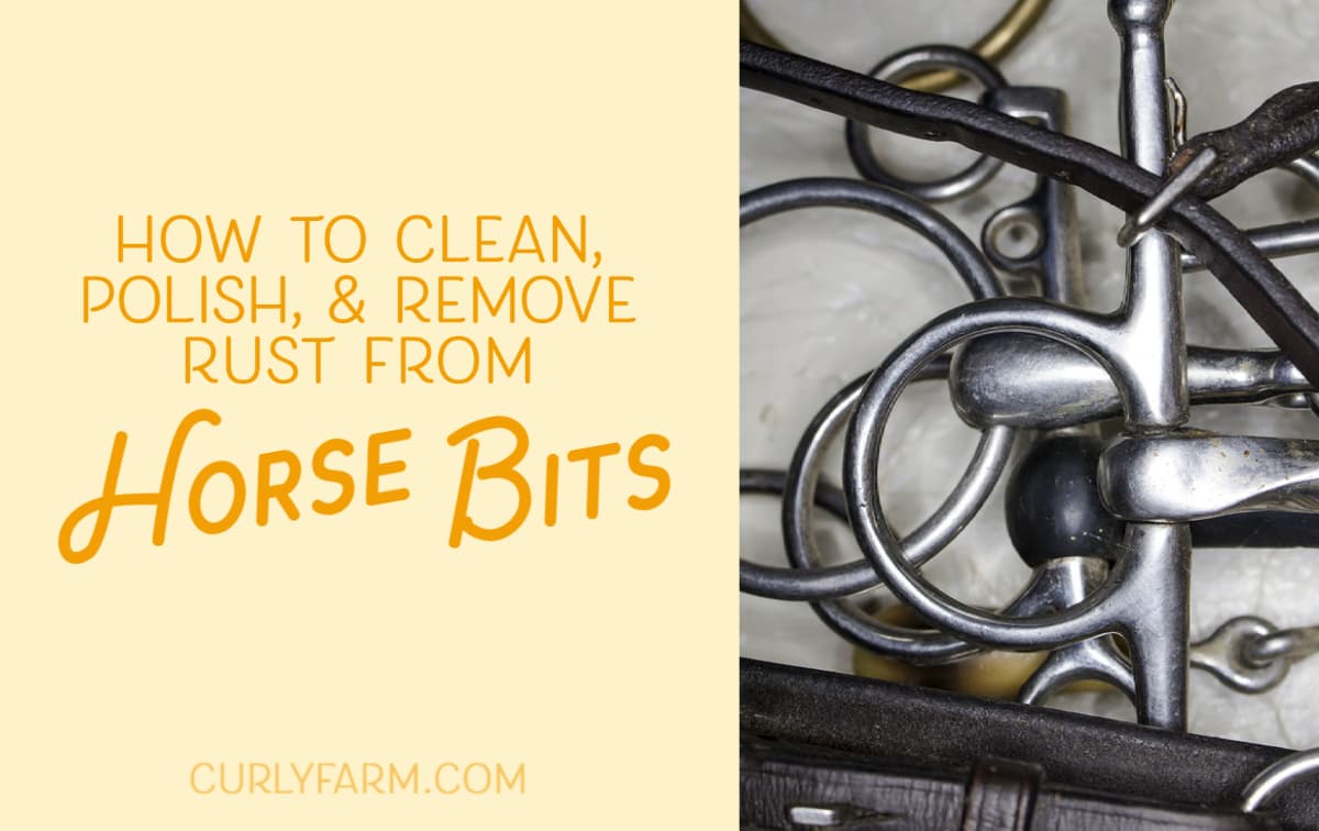 How to Clean Horse Bits & Remove Rust