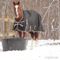 Ultimate guide to using, cleaning, storing, and caring for winter horse blankets