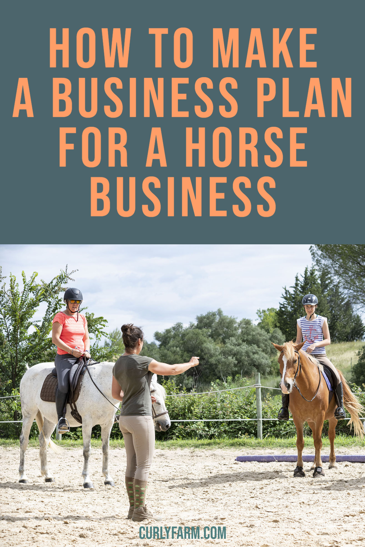 Horse Businesses How do Horse Farms and Riding Stables Make Money