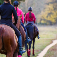 Group of teenage girls riding horses in autumn park. Equestrian sport background.