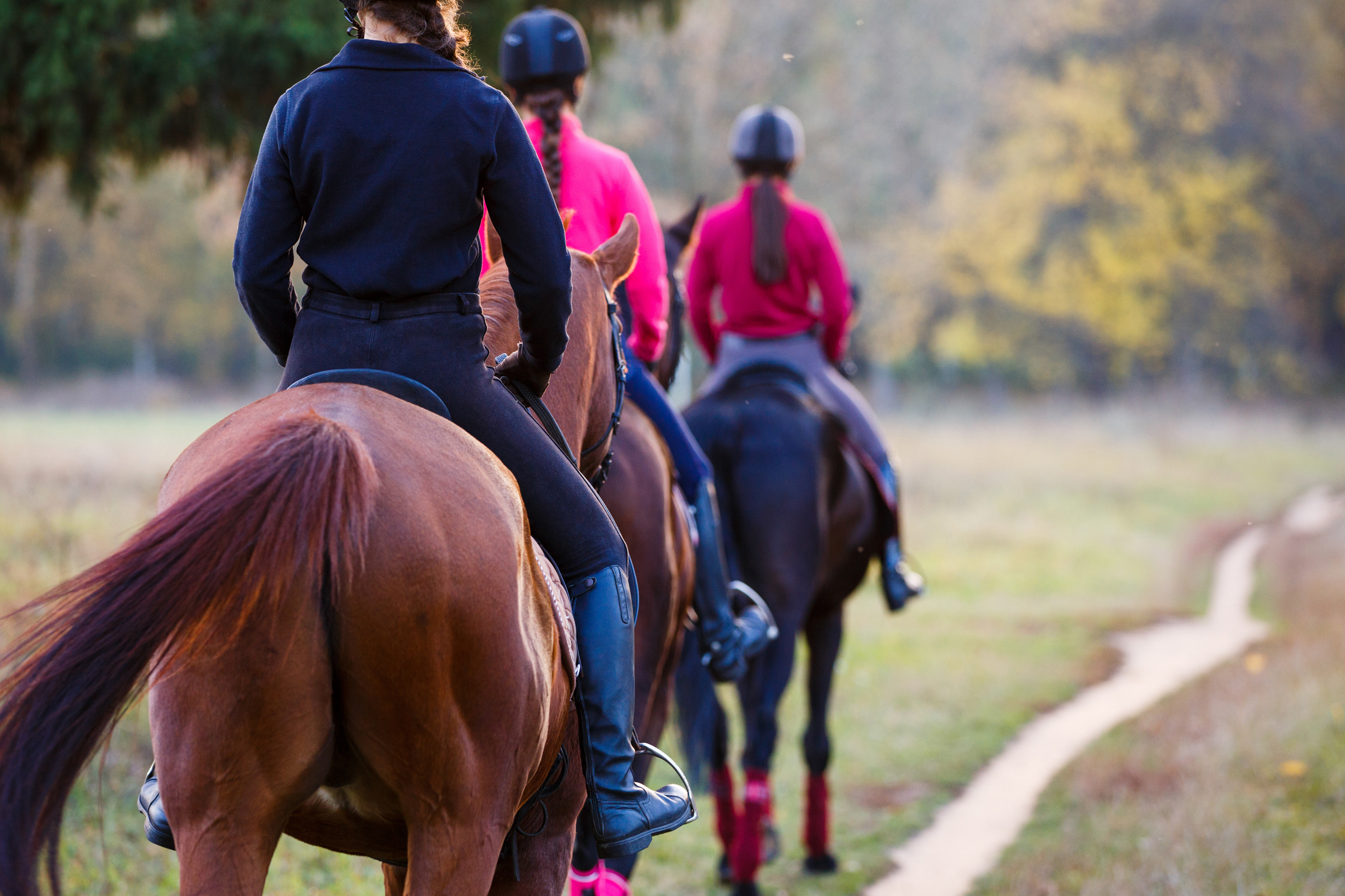 Group of teenage girls riding horses at a horse camp.
