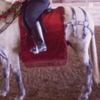 here's how I made a Renaissance knight themed saddle pad and horse costume for a Halloween horse show costume class