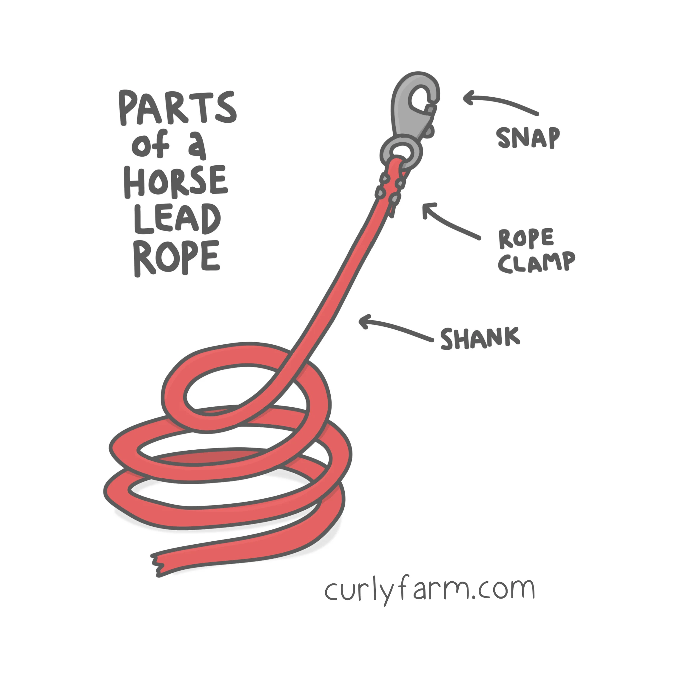 Illustration showing the parts of a horse lead rope.