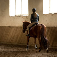 woman in riding helmet riding a horse along a wall in an indoor arena.