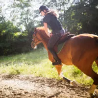 An athletic rider and horseback riding gear actively rides a horse down the track.