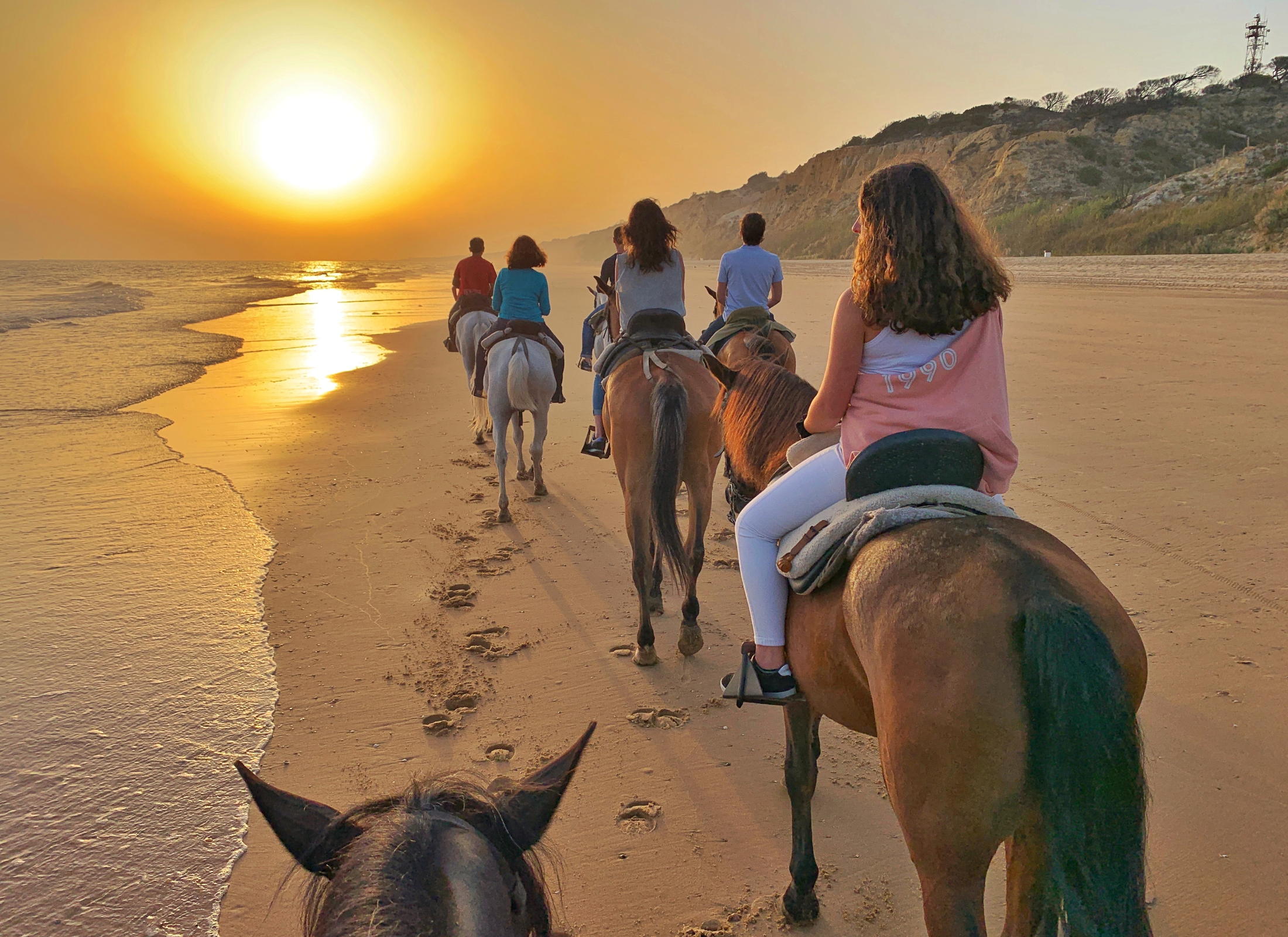 horseback riders riding horses on the beach at sunset.