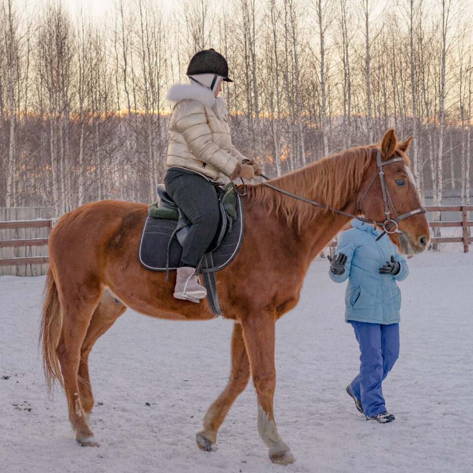 what-to-look-for-in-a-riding-instructor-learninghorses