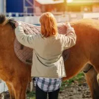 Hacks to deep clean saddle pads and remove stubborn grime