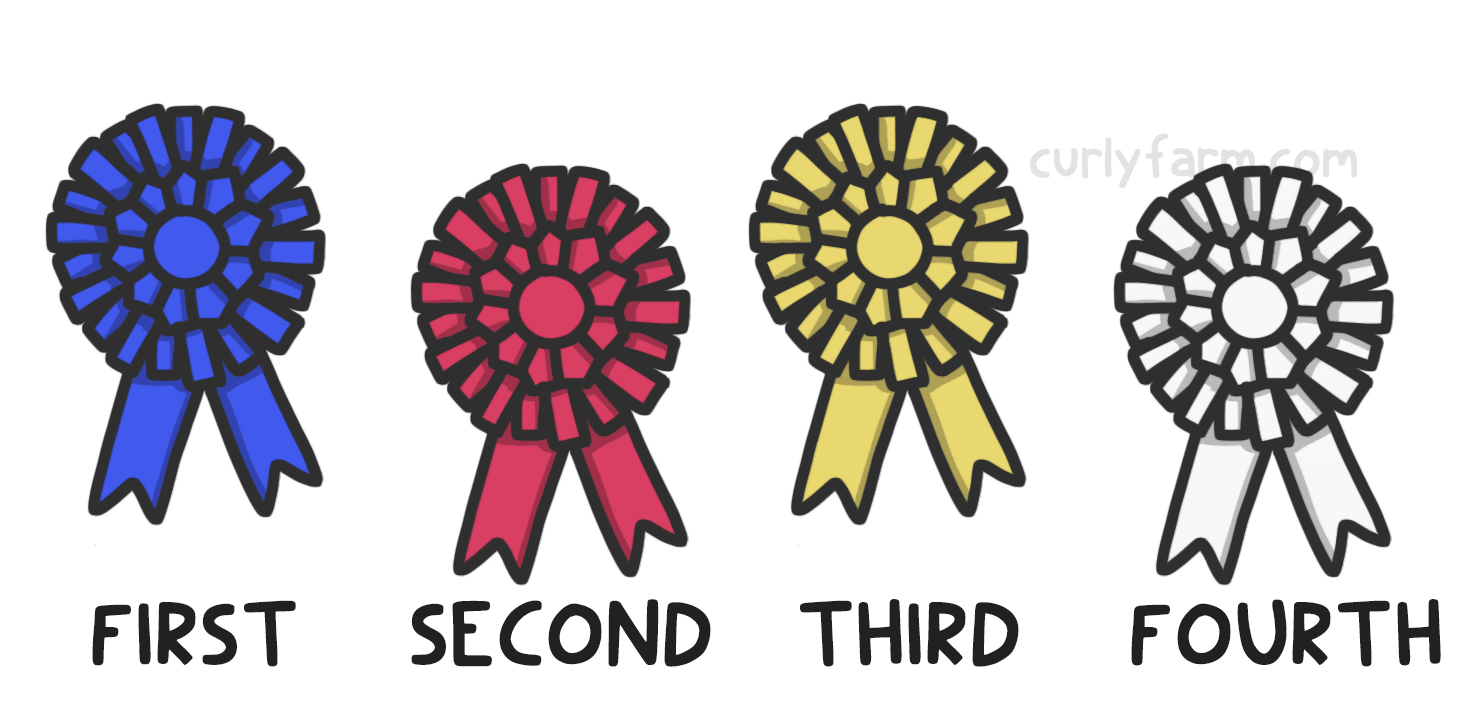 horse show ribbons and their meaning and rank shown in a simple illustration.