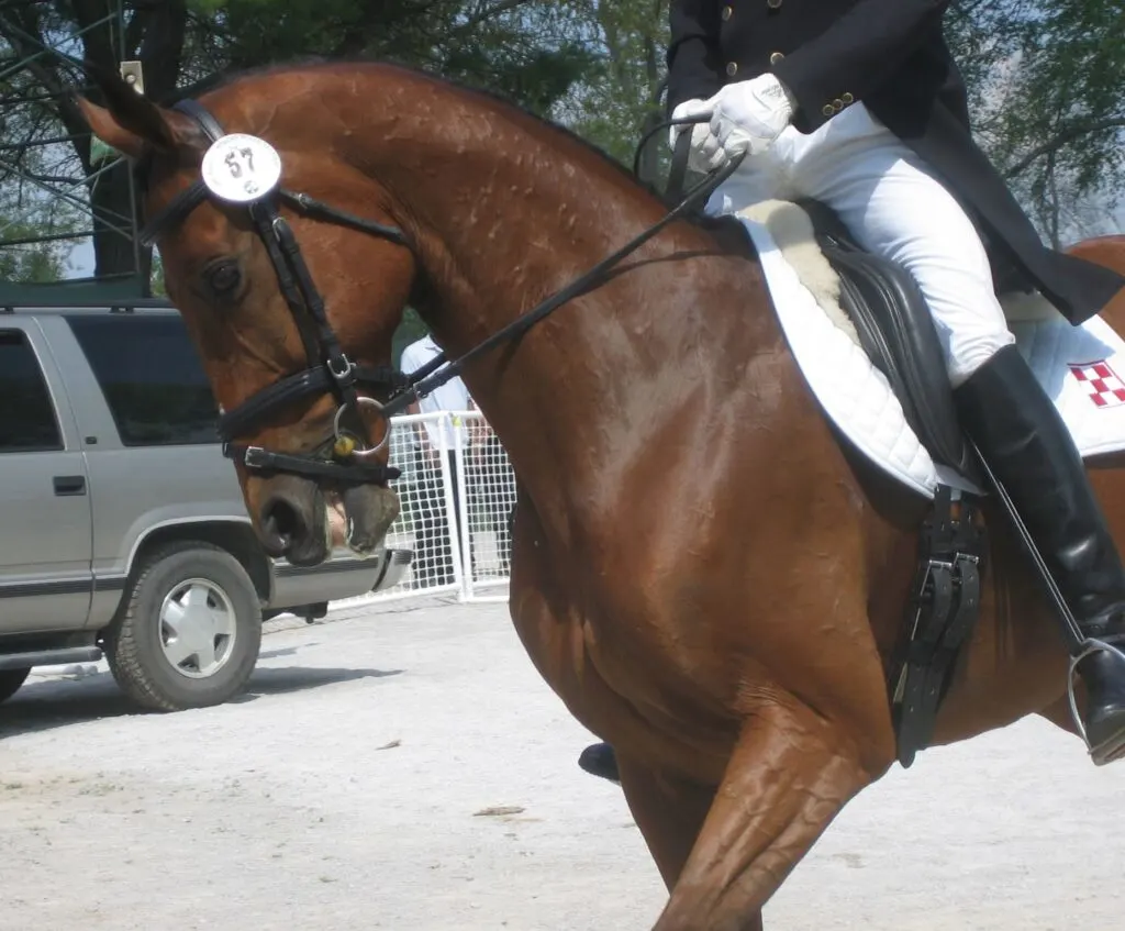 cf horse show rider17 white breeches